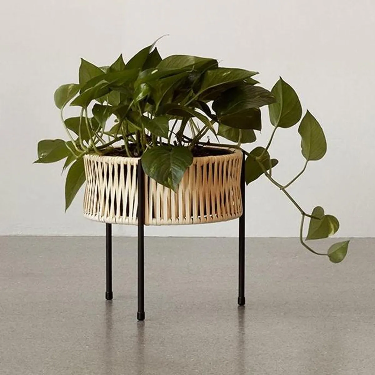 Umanoff Planter Blomsterpotte Liten